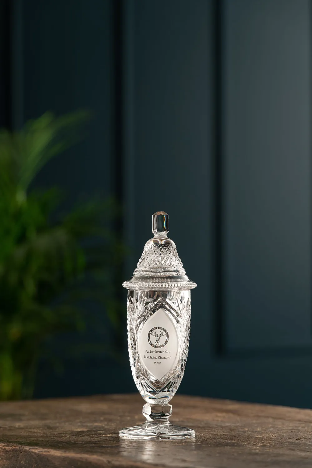 Engraved 10" Footed Sports Trophy & Lid<Galway Crystal
